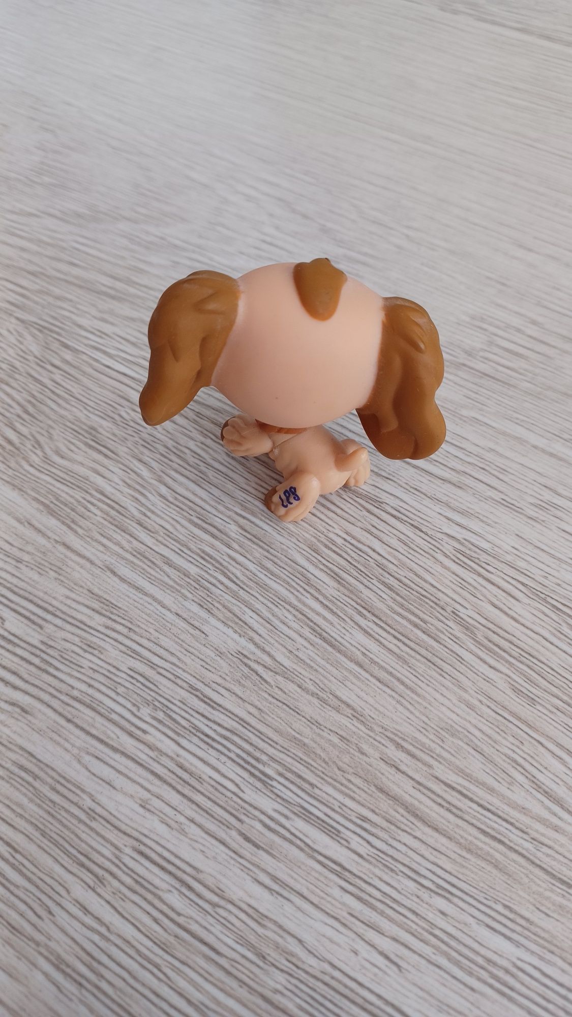 Littlest pet shop spaniel