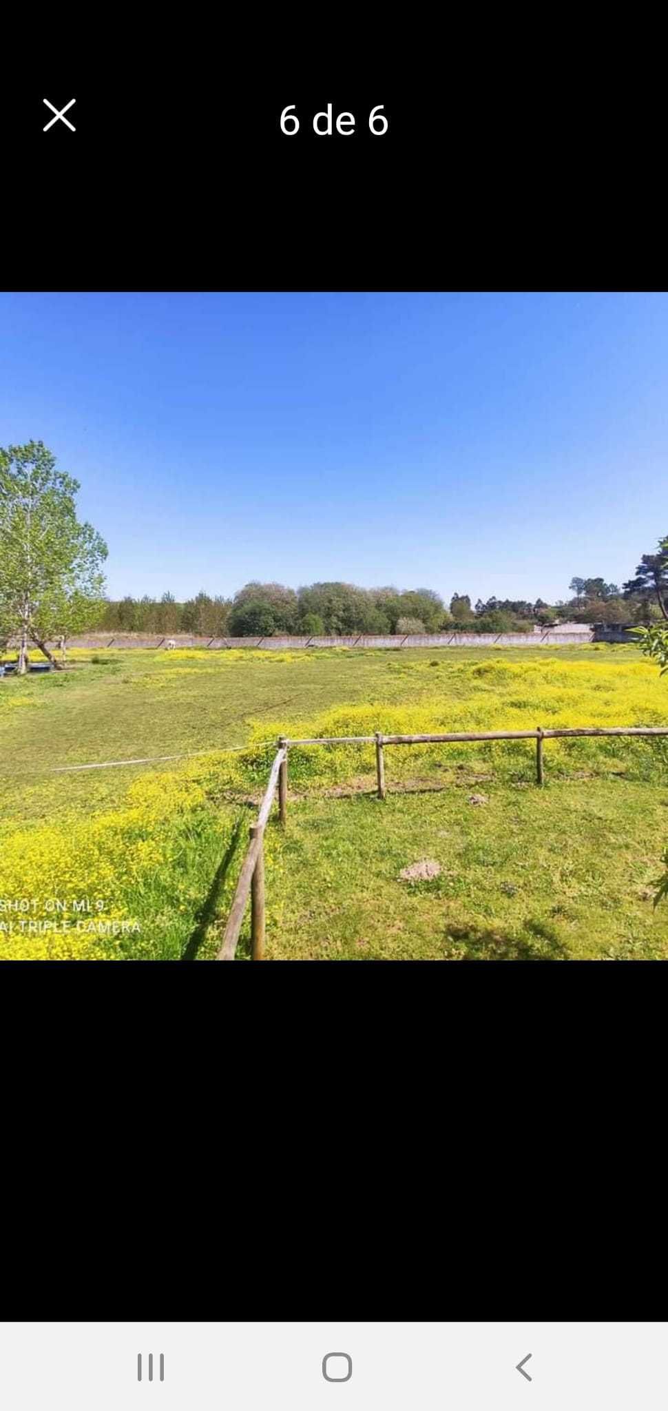 Quinta  10000m2 de terreno com lagoa e Moradia T5 com piscina-Leiria