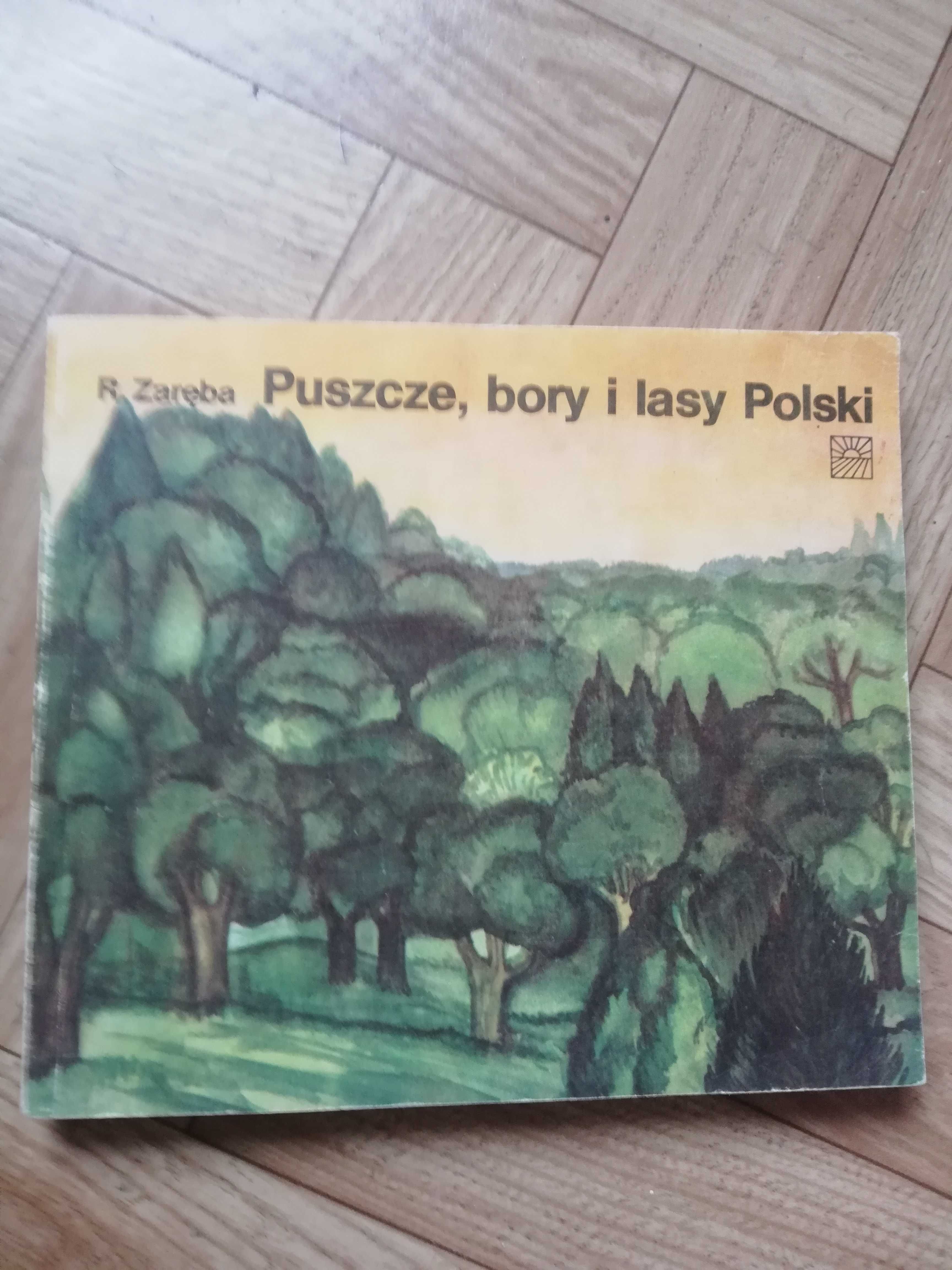 ,,Puszcze, bory i lasy polskie