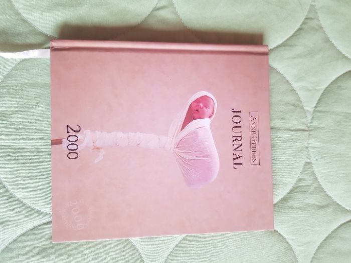 Agenda Anne Guedes - ano 2000 - nova