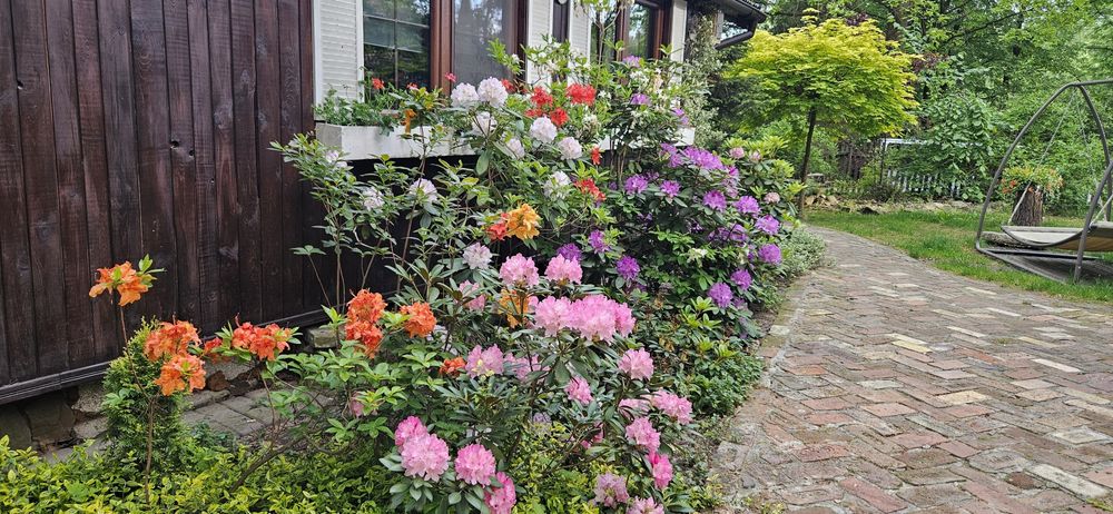 Domek w Radawie ,sauna, jackuzzi 8 os