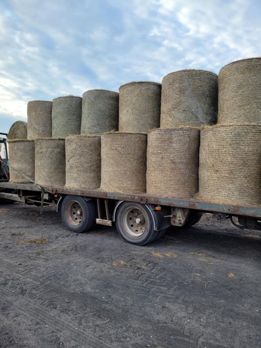Siano z transportem