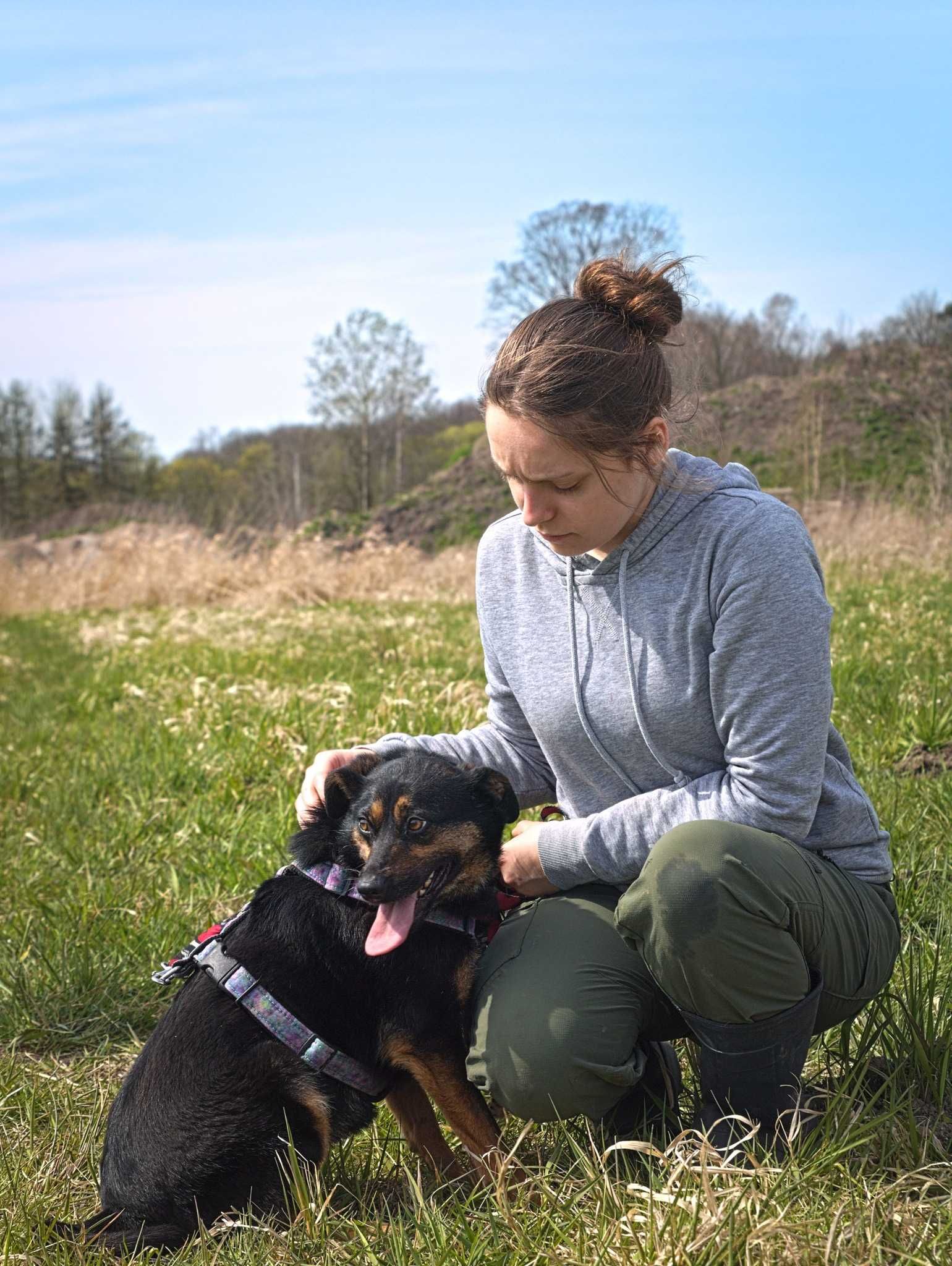 Perełka - mała, delikatna  sunia z potencjałem do adopcji