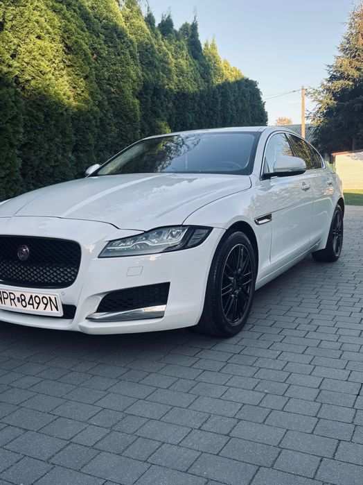 Sprzedam Jaguar xf x260
