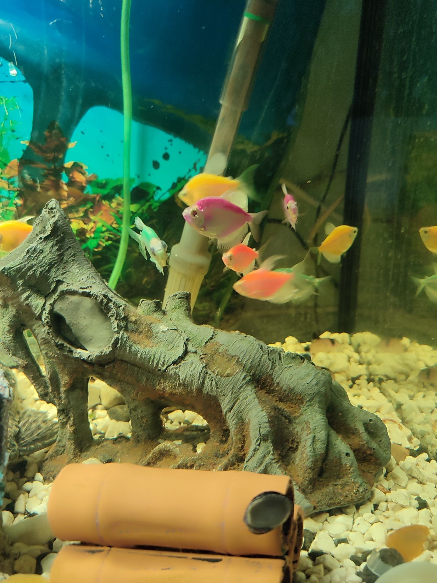 Akwarium 120l  zestaw