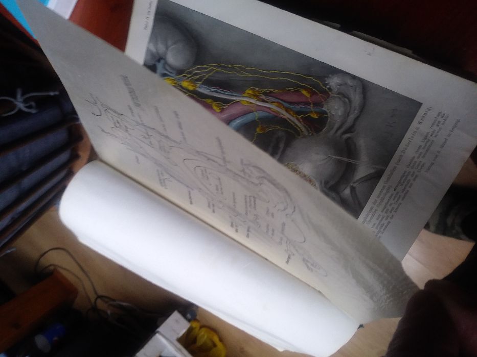 książki niemieckie medyczne przedwojenne