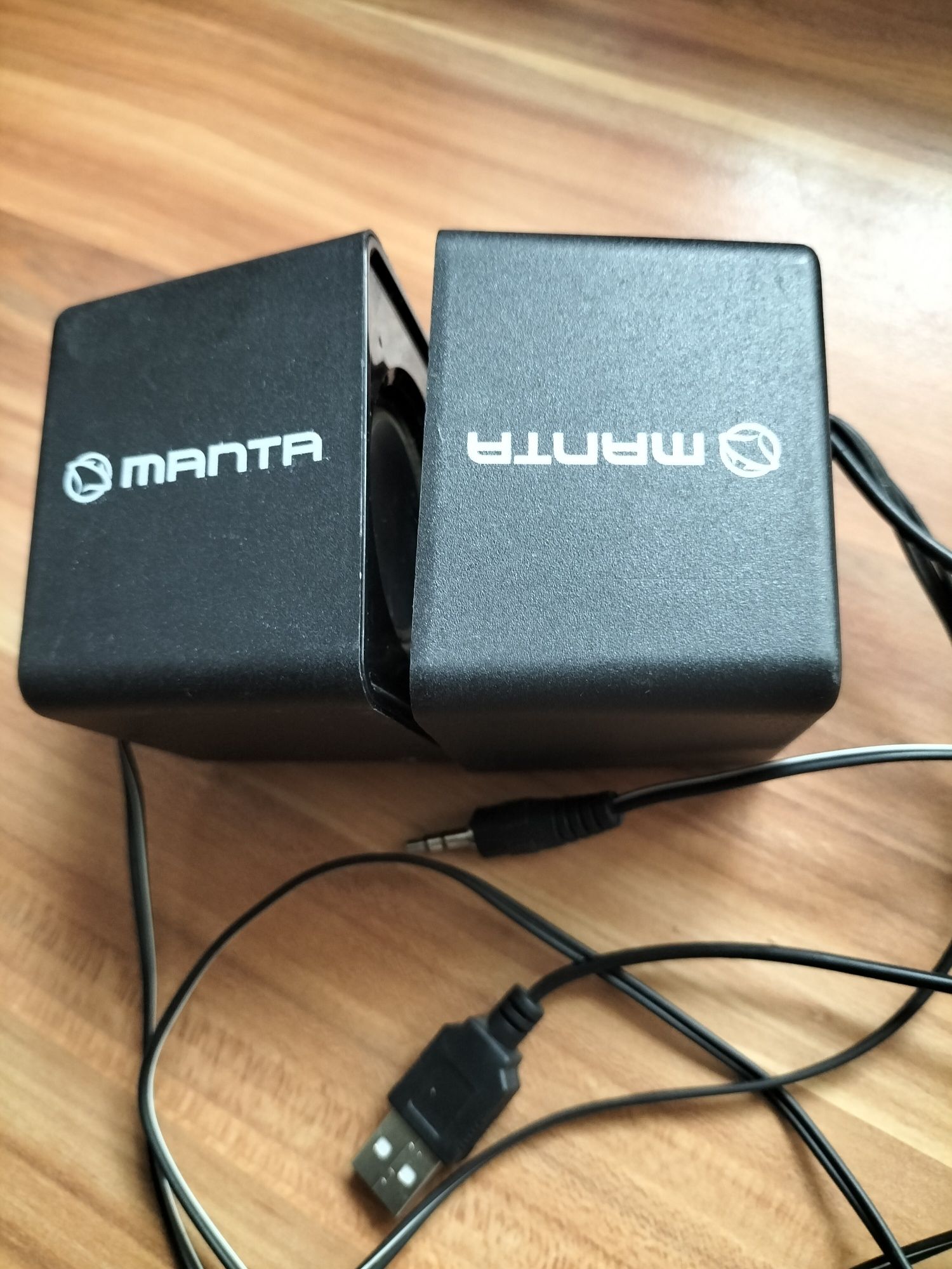 Głośniki komputerowe Manta