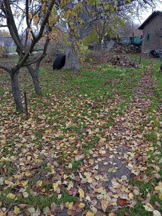 Продаю дом в пгт.Родушное!