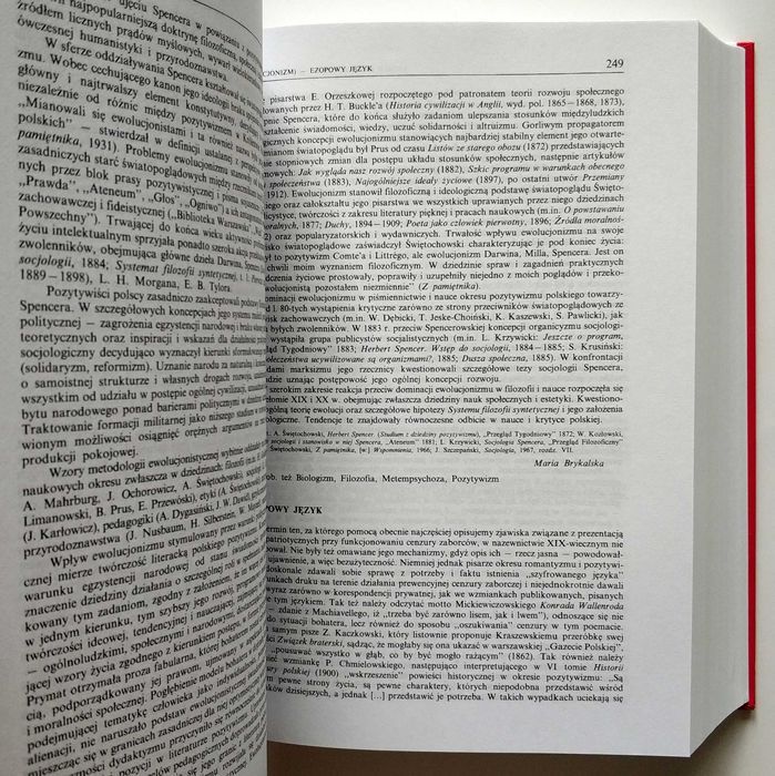 Słownik literatury polskiej XIX wieku. Vademecum polonisty, NOWA!