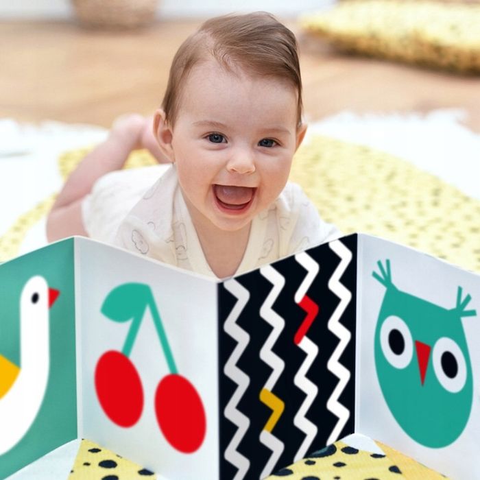 Czuczu Starter Malucha Książeczki Kontrastowe 0m+