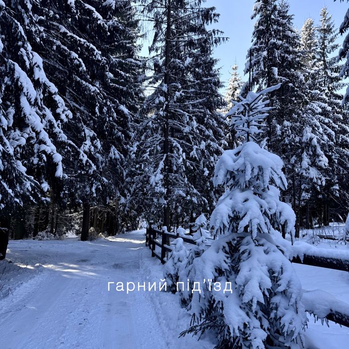 Затишний котедж на 6-8 гостей с гарним розташуванням біля лісу