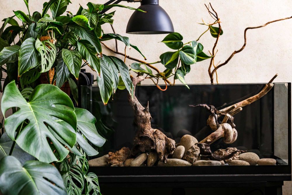 Виготовлення акваріумів від 10 до 2000 літрів.