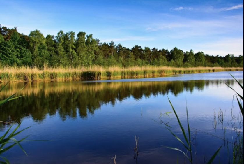 Wolne terminy czeewiec-lipiec Wyspa Sobieszewska-Morze Bałtyckie,Wisła