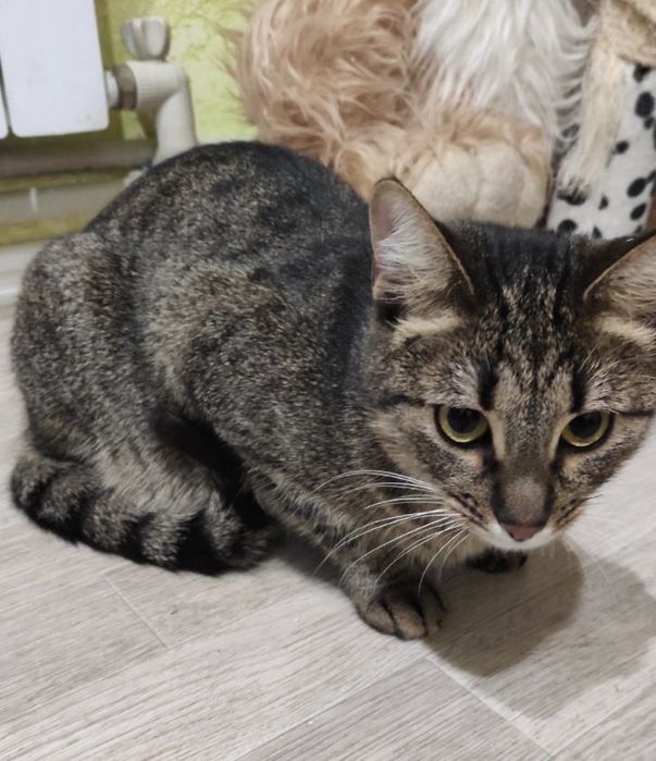 Дуже чекаю на тебе!