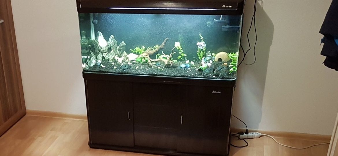Akwarium 350l zaokrąglone rogi