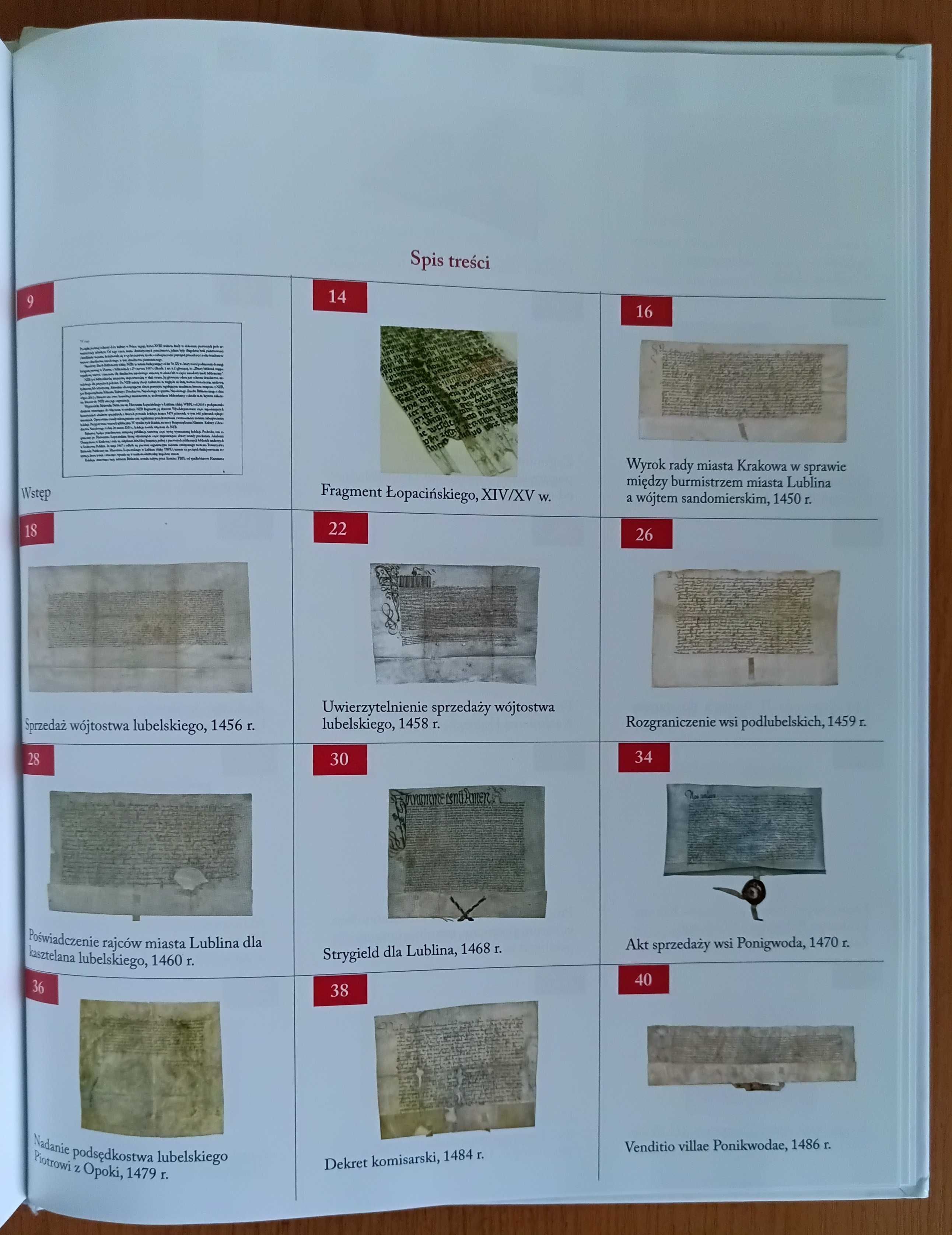 "Rękopisy z kolekcji Hieronima Łopacińskiego w Narodowym Zasobie ..."