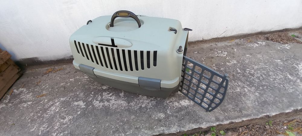 Переноска оренда контейнера для котов собак