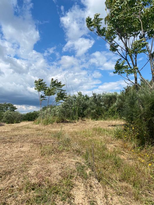 Terreno apto para construção
