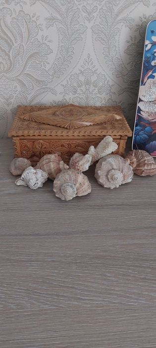 Продам маленькі ракушки 25грн