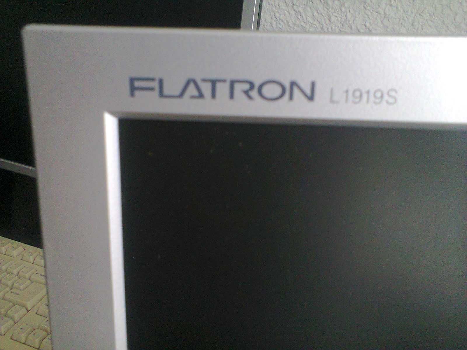 Monitor 19-calowy LG Flatron L1919S