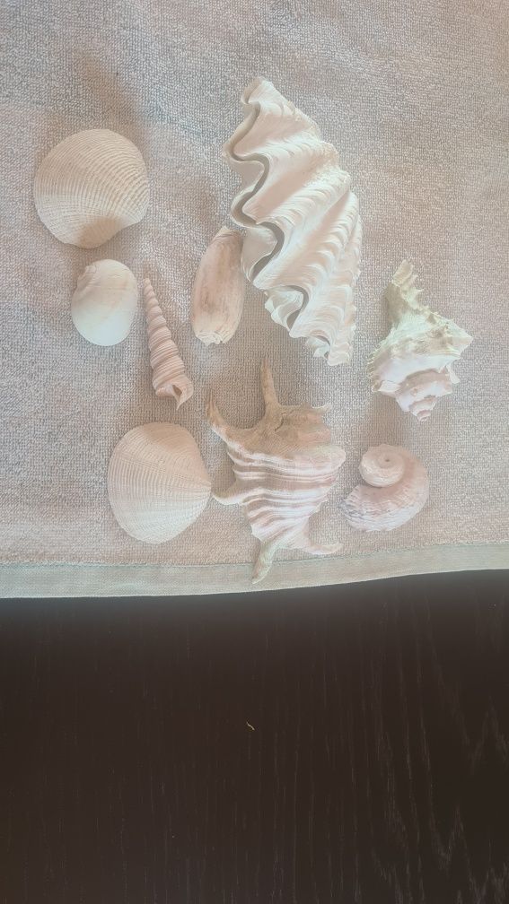 Decoração aquário