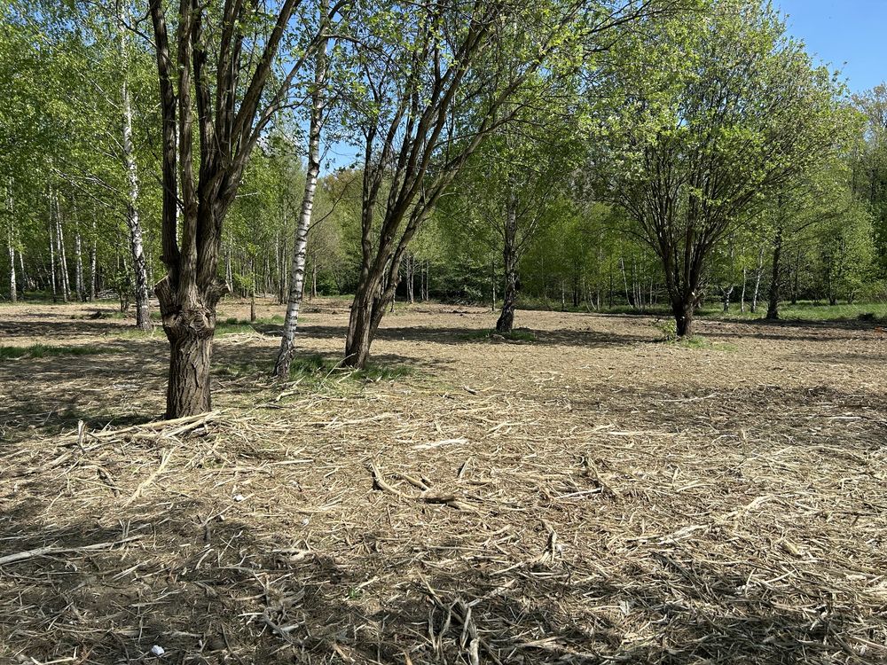 Oczyszczanie terenu, mielenie gałezi, mulczer leśny, karczowanie