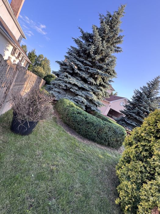 Комплексний догляд за ділянкою