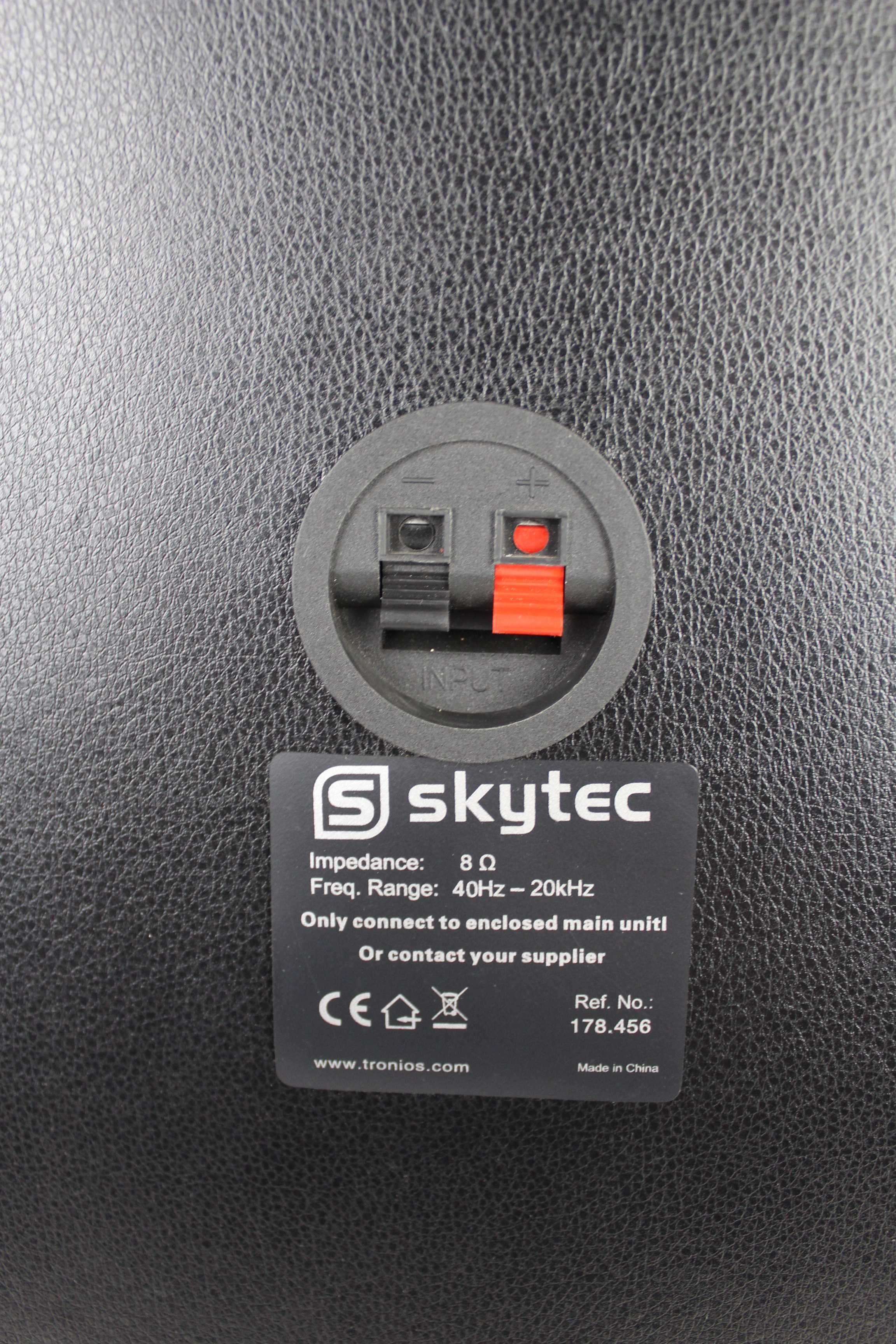Kolumna pasywna Skytec 2x10'' LED 200Watt outlet