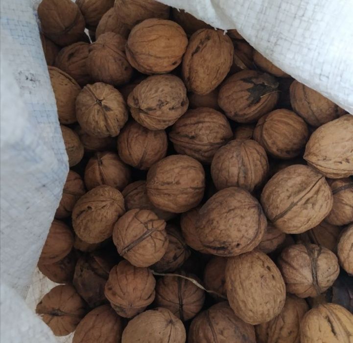 Продам. Горіхи. Насіня