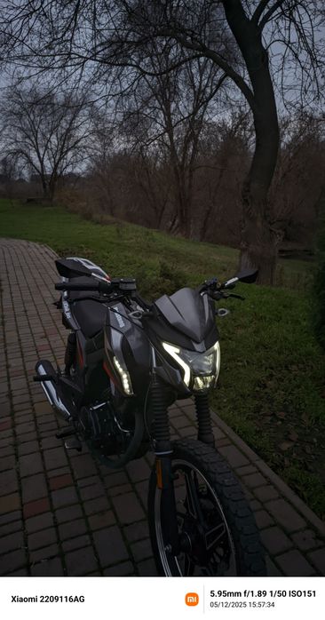 Мустанг фортуна 200