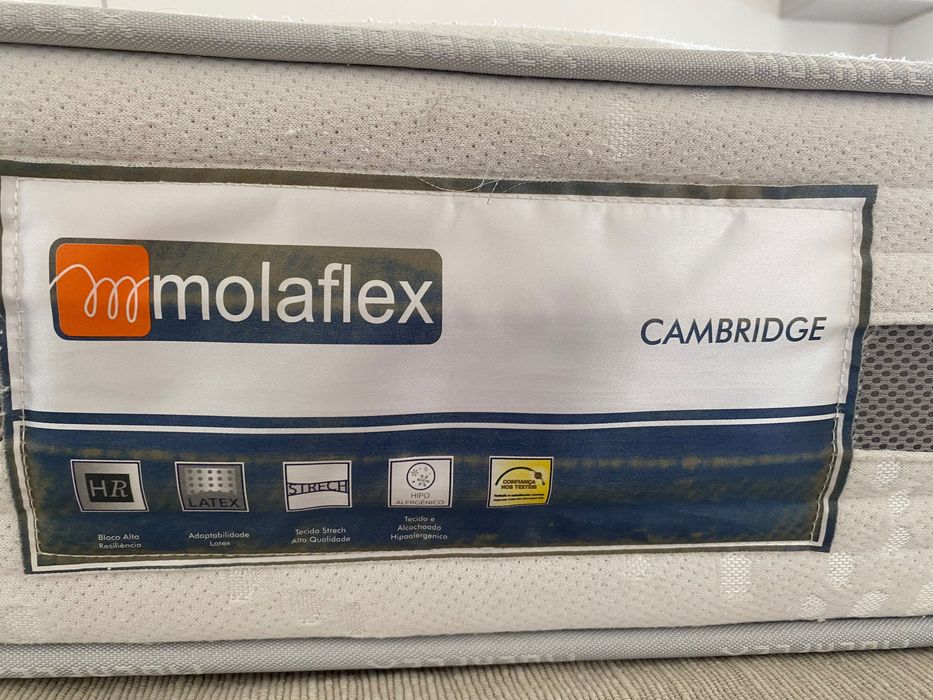 Colchão MOLAFLEX, de espuma HR e látex (solteiro)