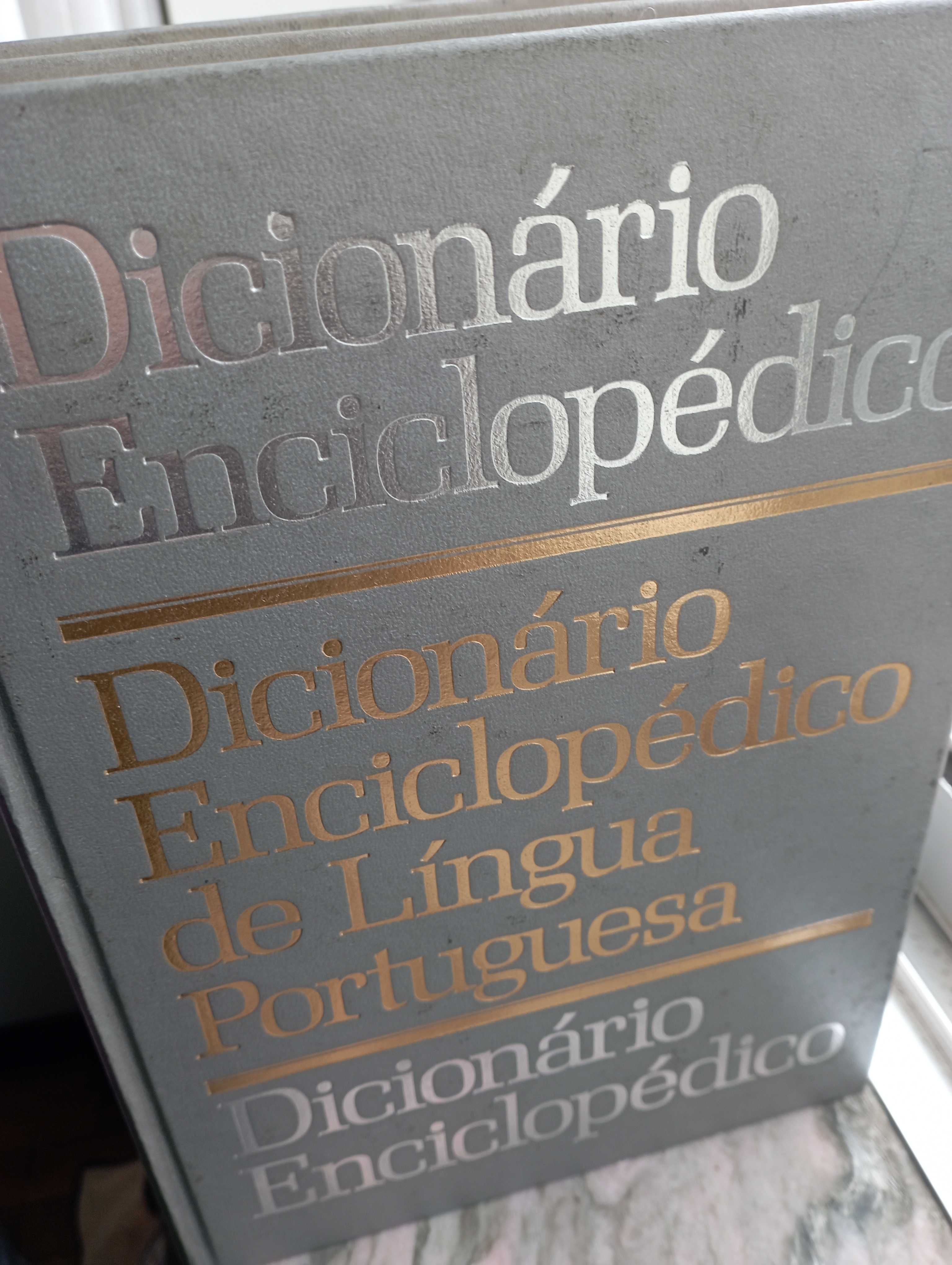 Dicionário enciclopédico 2volumes