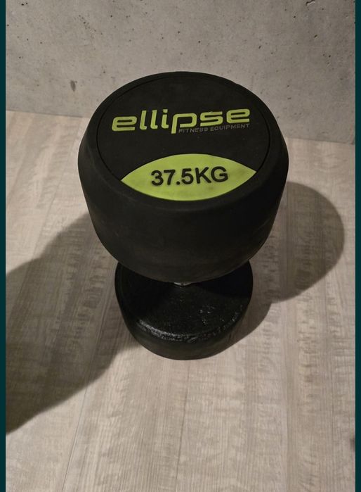 Haltres de ginásio pro