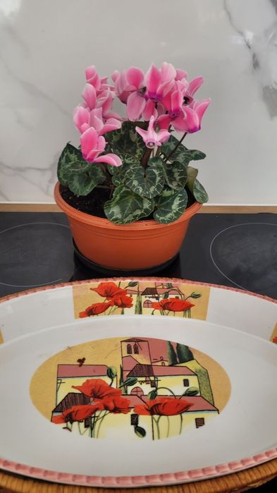 Ceramiczna forma do pieczenia długość 37 cm