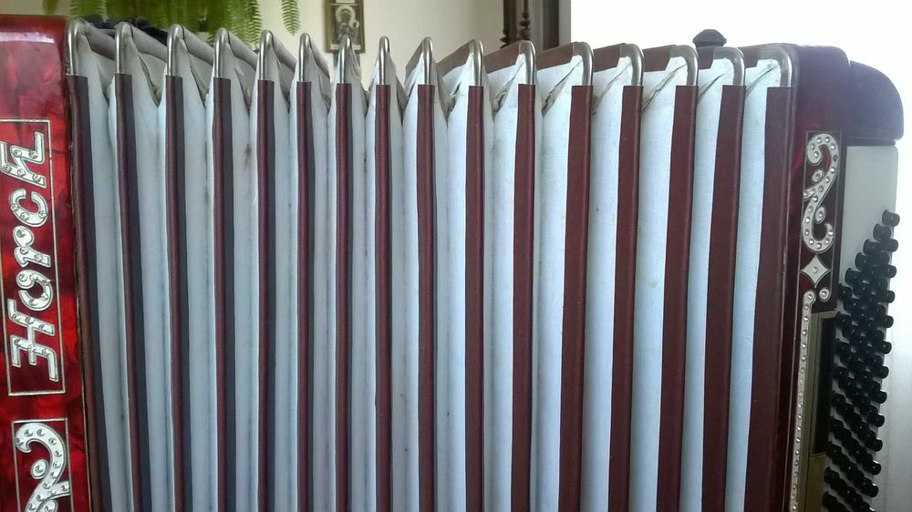 Akordeon Horch 120 basów