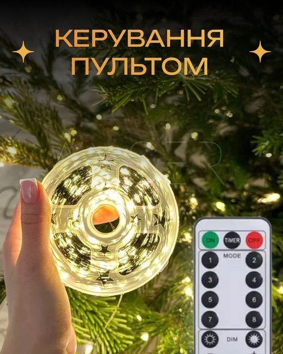 Гірлянда світлодіодна Роса 50 м — пульт, 8 режимів, USB