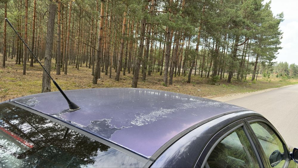 Skoda octavia 1.9tdi 110 km