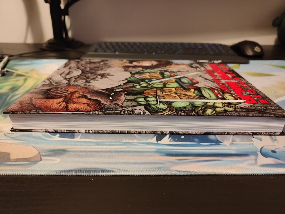 Wojownicze Żółwie Ninja - Ultimate Collection 1 (wyd. Fantasmagorie)