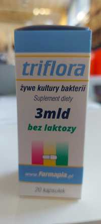 Probiotyk Triflora żywe kultury bakterii 3mld bez laktozy