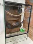 Terrarium 60x40x40