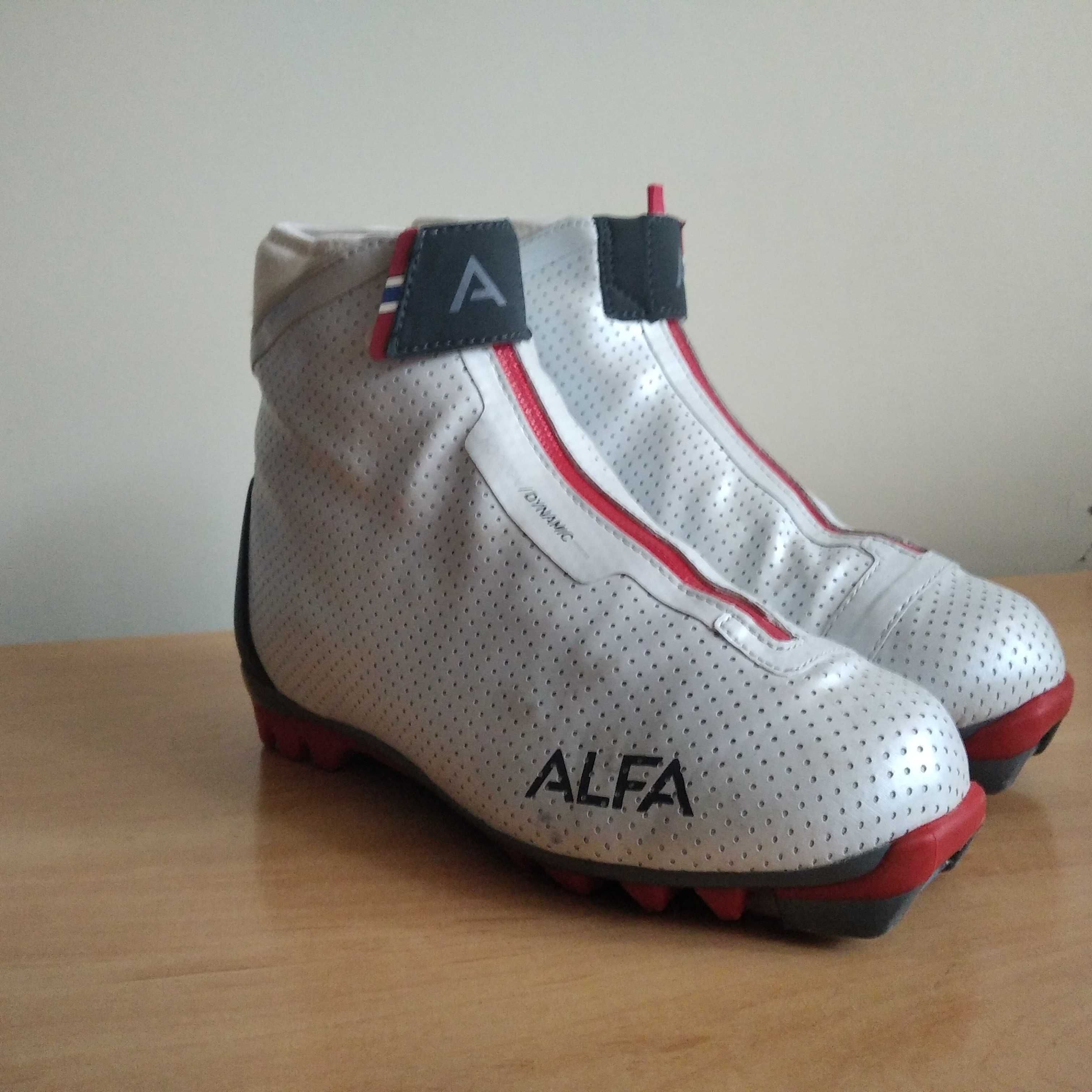 Buty narciarskie biegowe ALFA HORIZON 1.0 DYNAMIC GTX roz eu-39