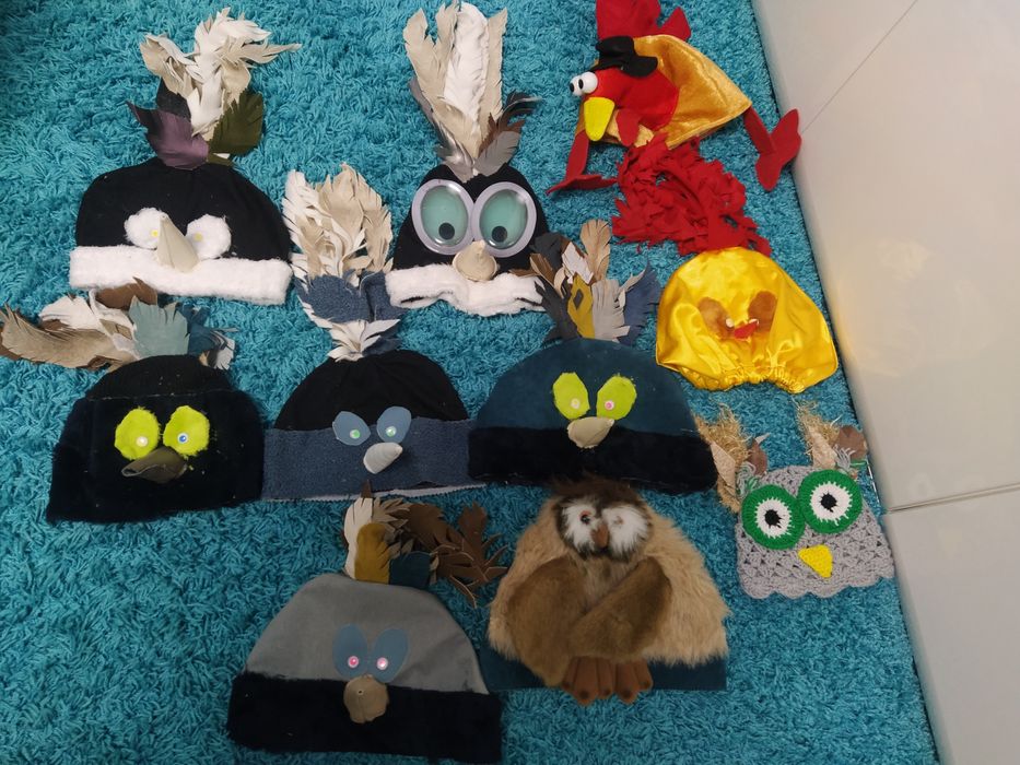 Карнавальні костюми,пташки,ведмідь,,Буратіно,гном,їжак, ,сонечко,заїць