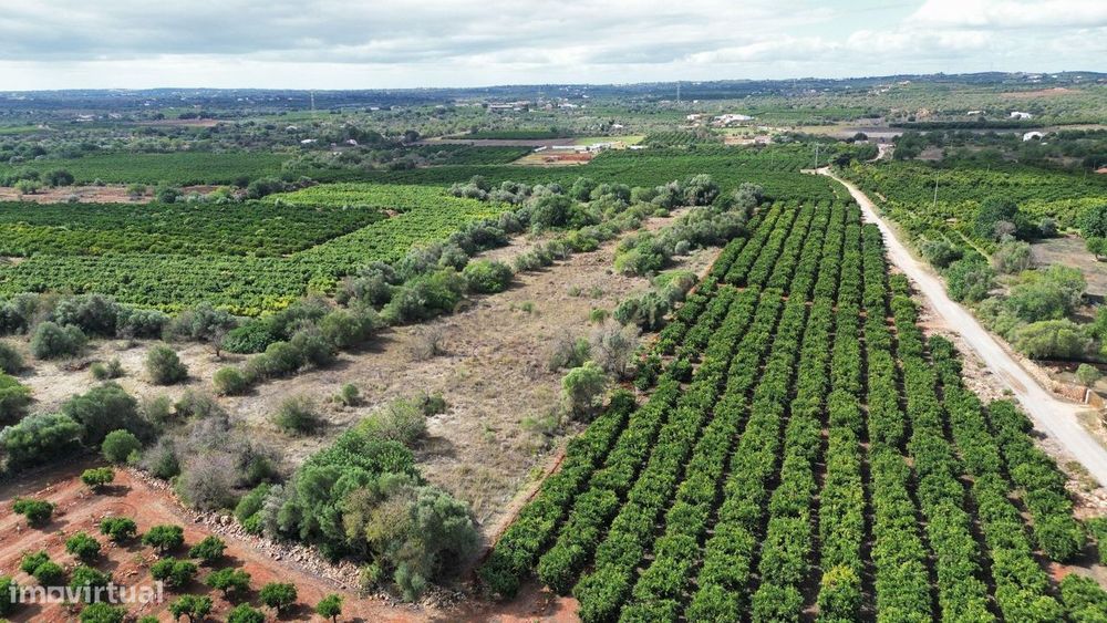Terreno | Rústico | Plano | 11360m2 | São Bartolomeu de Messines