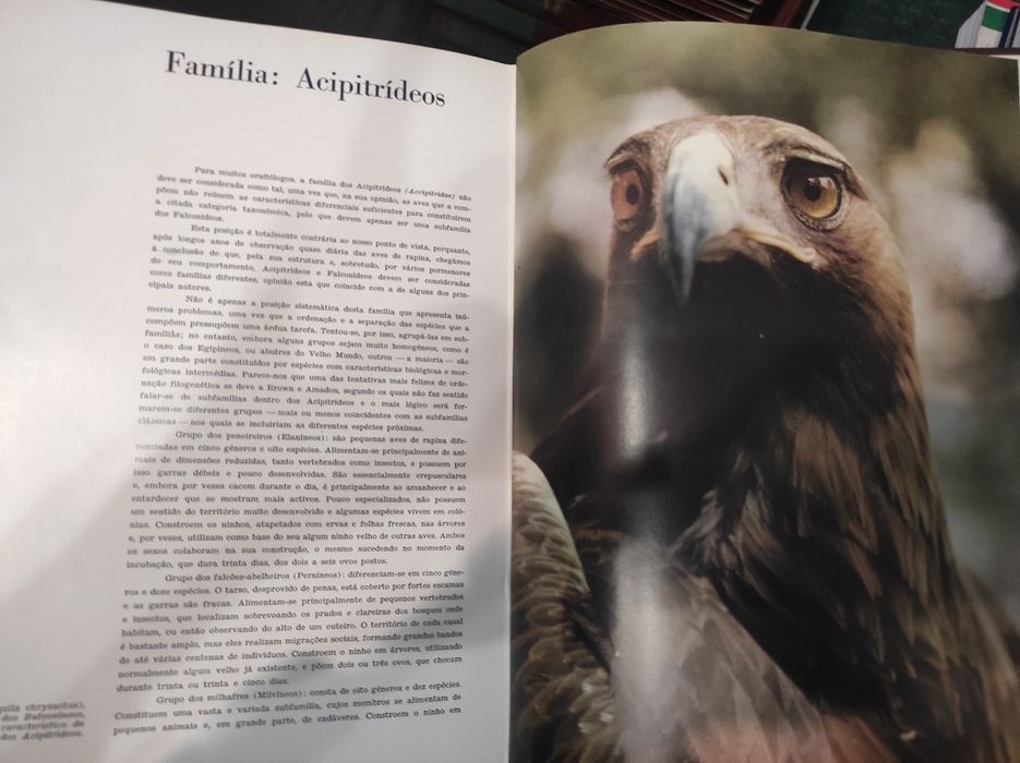 A Fauna - Publicações Alfa