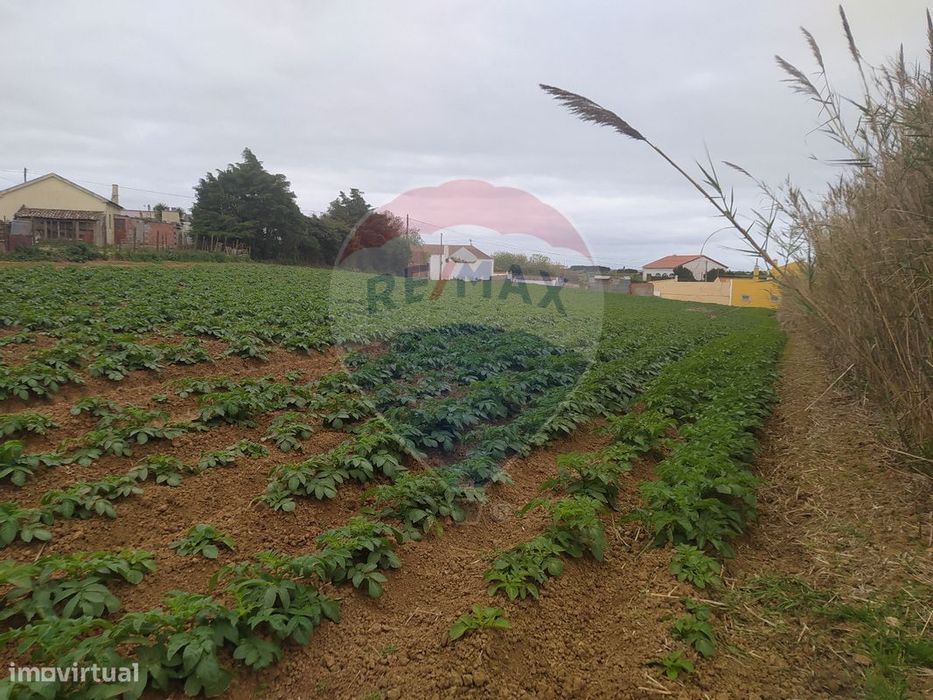 Terreno  para venda