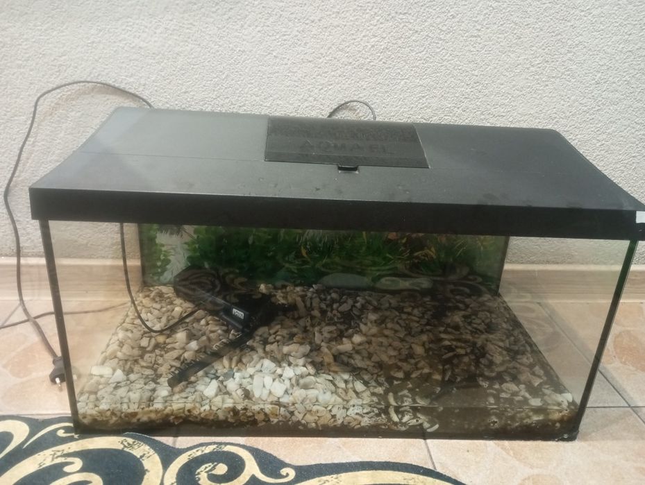 Akwarium Aquael z filtrem
