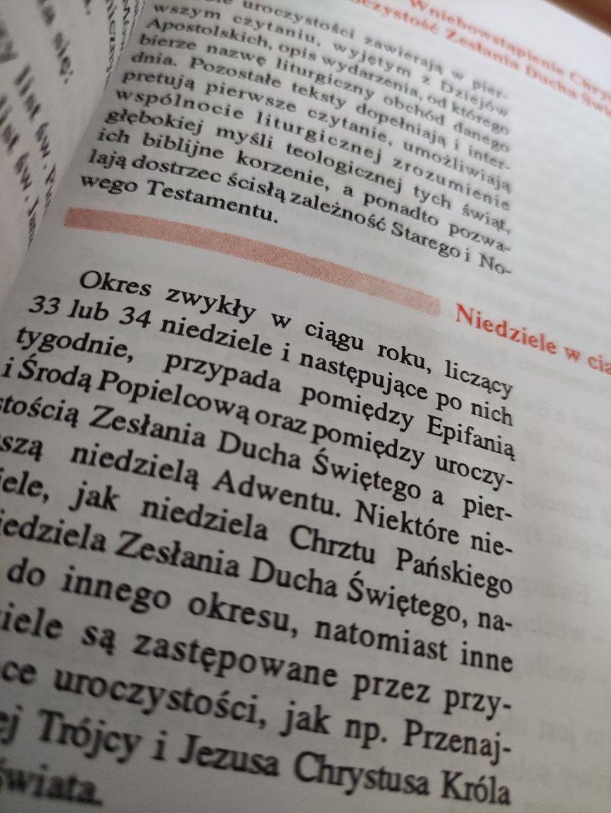 Lektor i jego liturgiczna posługa
