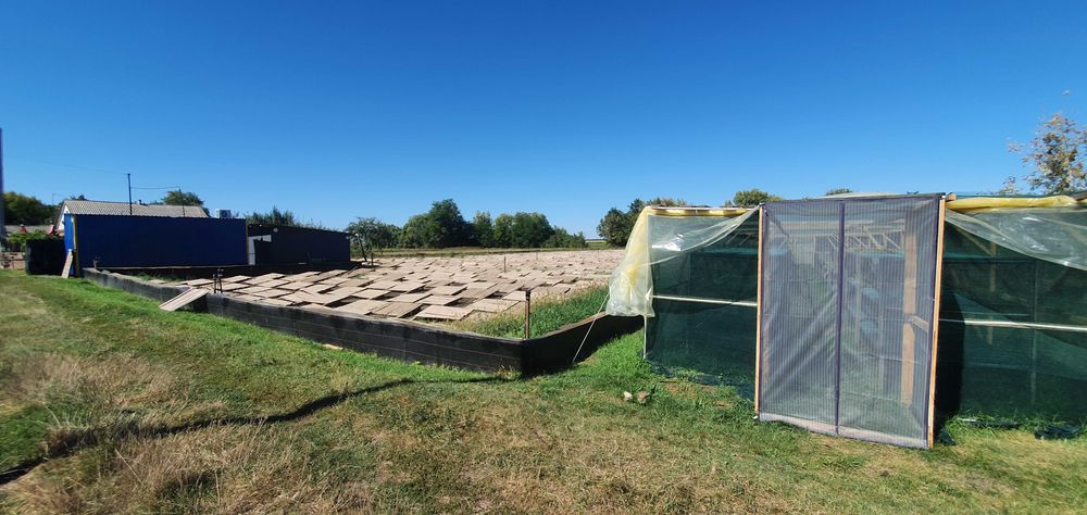 Готовий прибутковий бізнес – равликова ферма. Переяслав, Київська обл.