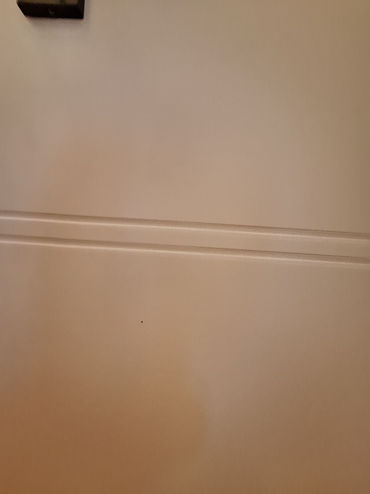 Drzwi wewnętrzne Porta Trim T lewe 80