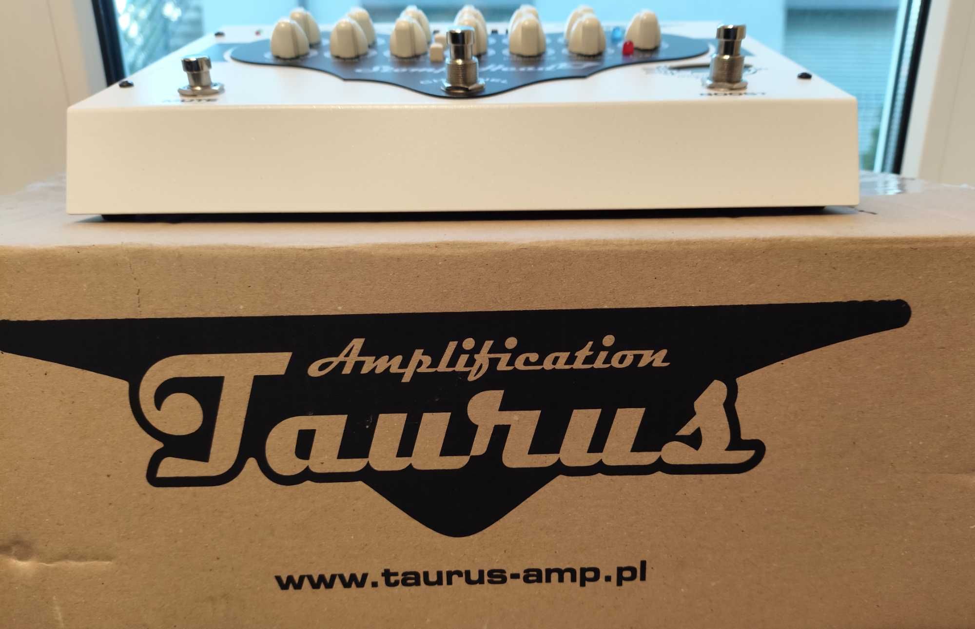 Wzmacniacz gitarowy Taurus SH3CL, podłogowy, 2 kanałowy, 60W